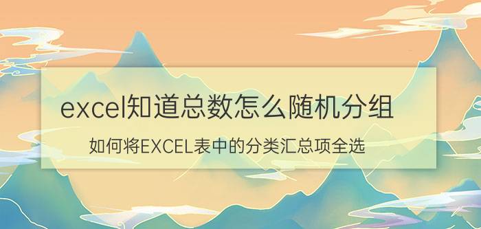 excel知道总数怎么随机分组 如何将EXCEL表中的分类汇总项全选？